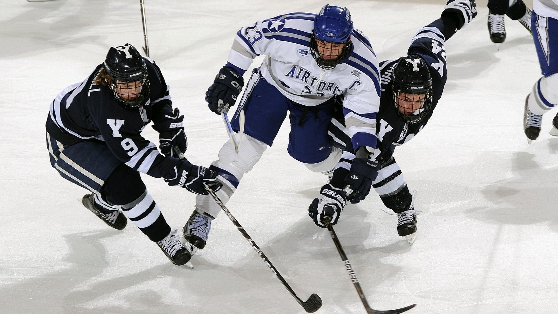北京鸭全队士气高涨备战新赛季，北京鸭百度百科